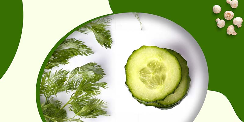 Reasons Why Cucumbers Are Effective for Weight Loss